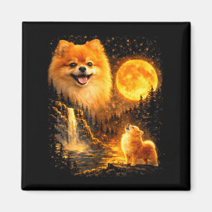 Aimant Chiots Pomeranian Hurle à Protecteur Sous Le