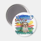 Aimant Chiots Shih Tzu #2 (Recto/Verso)