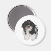 Aimant Chiots Shitzu Shih Tzu (Recto/Verso)