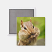 Aimant Chipmunk (Recto/Verso)
