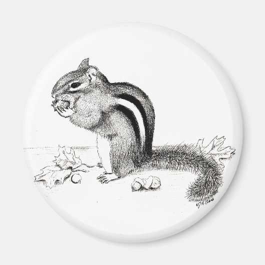 Aimant Chipmunk (Devant)