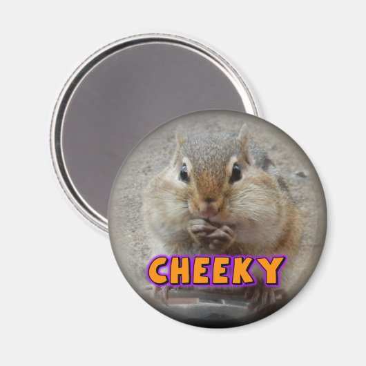 Aimant Chipmunk (Recto/Verso)