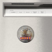 Aimant Chipmunk (In Situ (Lave-vaisselle))