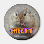 Aimant Chipmunk (Devant)