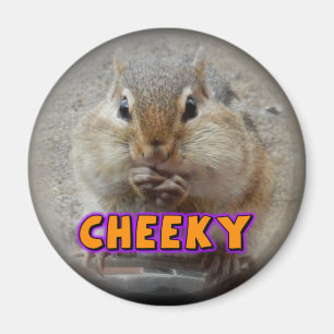 Aimant Chipmunk