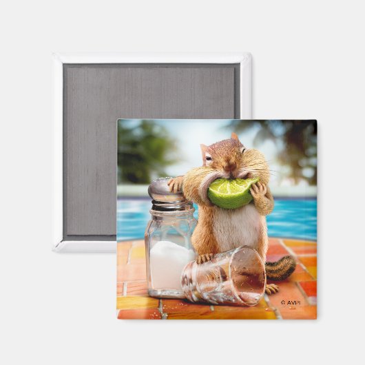 Aimant Chipmunk à la chaux (Recto/Verso)