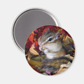 Aimant Chipmunk , Autumn (8) photo (Recto/Verso)