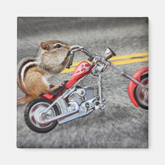 Aimant Chipmunk Biker équitation d'une moto (Devant)