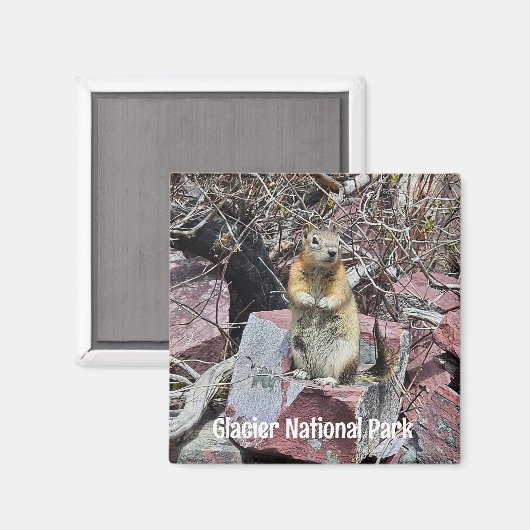 Aimant Chipmunk dans le parc national des Glaciers (Recto/Verso)