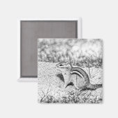 Aimant Chipmunk Sketch (Recto/Verso)