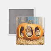 Aimant Chipmunks à l'intérieur de Boo Jack-o-Lantern (Recto/Verso)