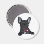 Aimant Chippon français (Recto/Verso)