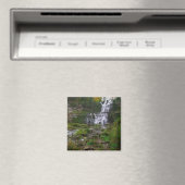 Aimant Chittenango Falls (In Situ (Lave-vaisselle))