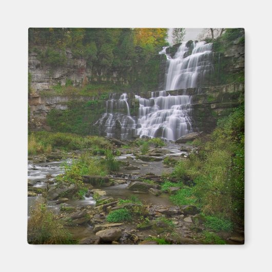 Aimant Chittenango Falls (Devant)