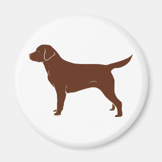 Aimant Chocolat Brown Labrador Retriever