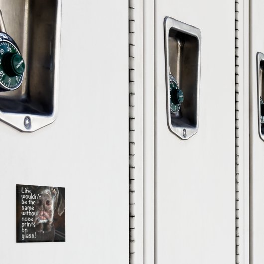 Aimant Chocolat Lab Nez Fermer la photo (In situ (casier))