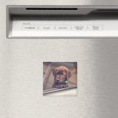 Aimant Chocolat Labrador Chiot En Voiture (In Situ (Lave-vaisselle))