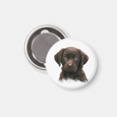 Aimant Chocolat Labrador Retriever Brown (Recto/Verso)