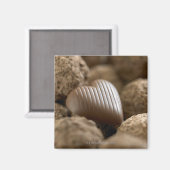 Aimant chocolat niché parmi d'autres chocolats (Recto/Verso)