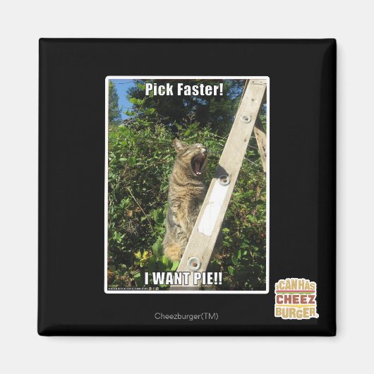 Aimant Choisissez Plus Rapidement ! (Devant)