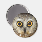 Aimant chouette (Recto/Verso)