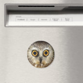 Aimant chouette (In Situ (Lave-vaisselle))