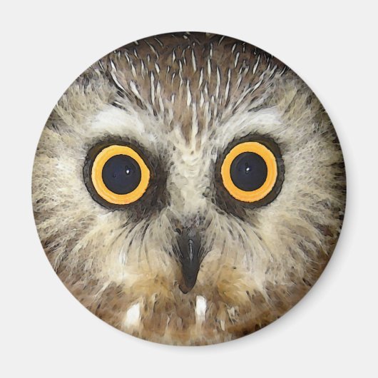 Aimant chouette (Devant)