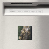 Aimant Chouette à cornes (Bubo virginianus), corps comple (In Situ (Lave-vaisselle))