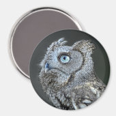 Aimant Chouette à cris gris (Recto/Verso)