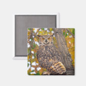 Aimant Chouette à grande corne (Recto/Verso)