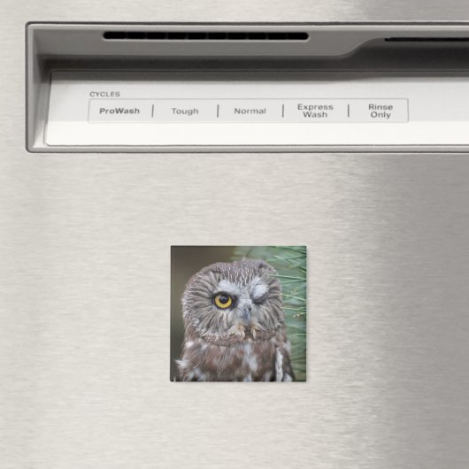 Aimant Chouette à mâchoires (In Situ (Lave-vaisselle))