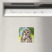 Aimant Chouette barrée (In Situ (Lave-vaisselle))