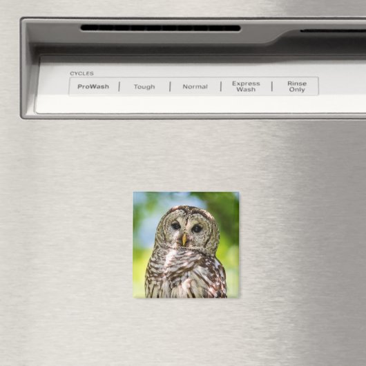 Aimant Chouette barrée (In Situ (Lave-vaisselle))