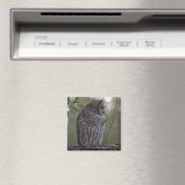 Aimant Chouette barrée juvénile (Strix varia) 2 (In Situ (Lave-vaisselle))