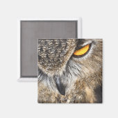 Aimant Chouette d'aigle d'Eurasie (Bubo bubo) (Recto/Verso)