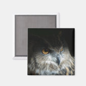 Aimant Chouette d'aigle eurasien (Recto/Verso)