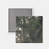 Aimant Chouette dans la forêt (Recto/Verso)