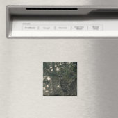 Aimant Chouette dans la forêt (In Situ (Lave-vaisselle))
