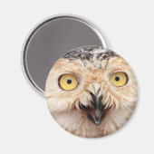 Aimant Chouette des neiges (Recto/Verso)