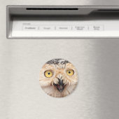 Aimant Chouette des neiges (In Situ (Lave-vaisselle))