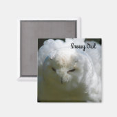Aimant Chouette des neiges (Recto/Verso)