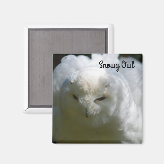 Aimant Chouette des neiges (Recto/Verso)