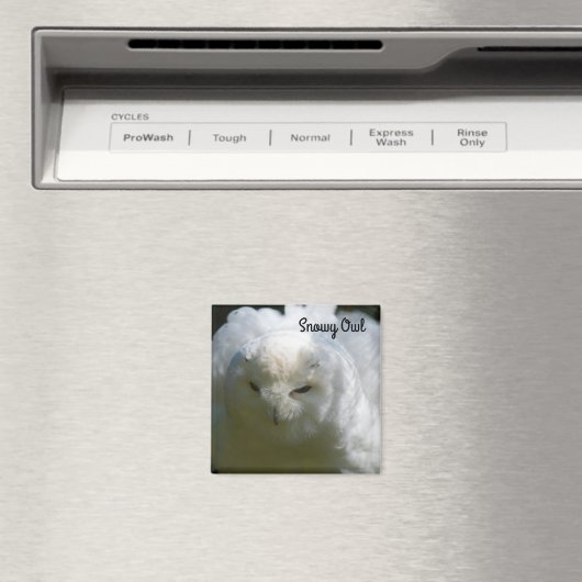 Aimant Chouette des neiges (In Situ (Lave-vaisselle))