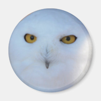 Aimant Chouette des neiges