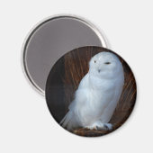 Aimant Chouette des neiges (Recto/Verso)