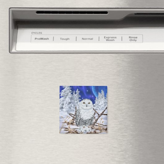 Aimant Chouette des neiges en neige (In Situ (Lave-vaisselle))