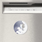 Aimant Chouette d'hiver MAG003 (In Situ (Lave-vaisselle))