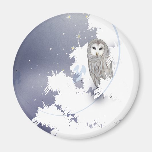 Aimant Chouette d'hiver MAG003 (Devant)