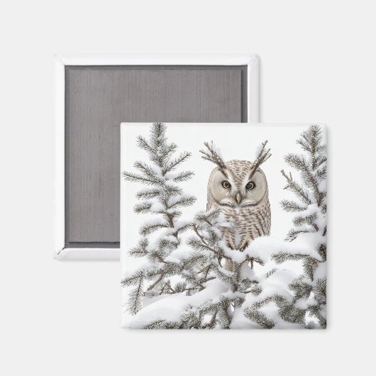 Aimant Chouette en neige (Recto/Verso)
