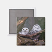 Aimant Chouette Harfang Couple Art Bois Faune (Recto/Verso)